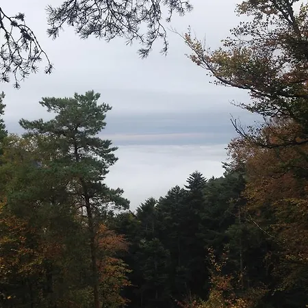 Villa Sainte Famille *